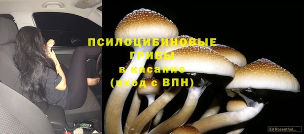 ПСИЛОЦИБИНОВЫЕ ГРИБЫ Ижевск