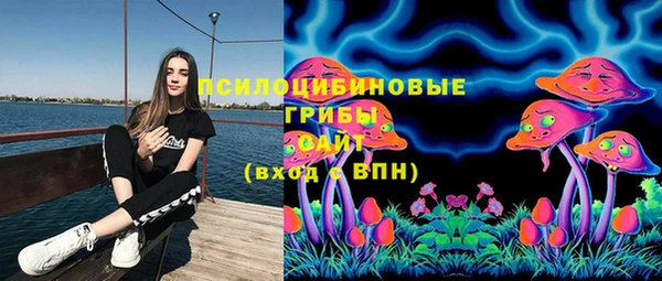 шишки Волоколамск