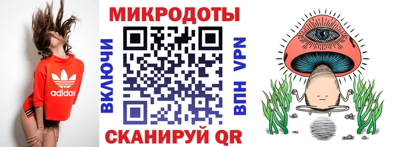 Псилоцибиновые грибы Psilocybine cubensis  Луховицы 
